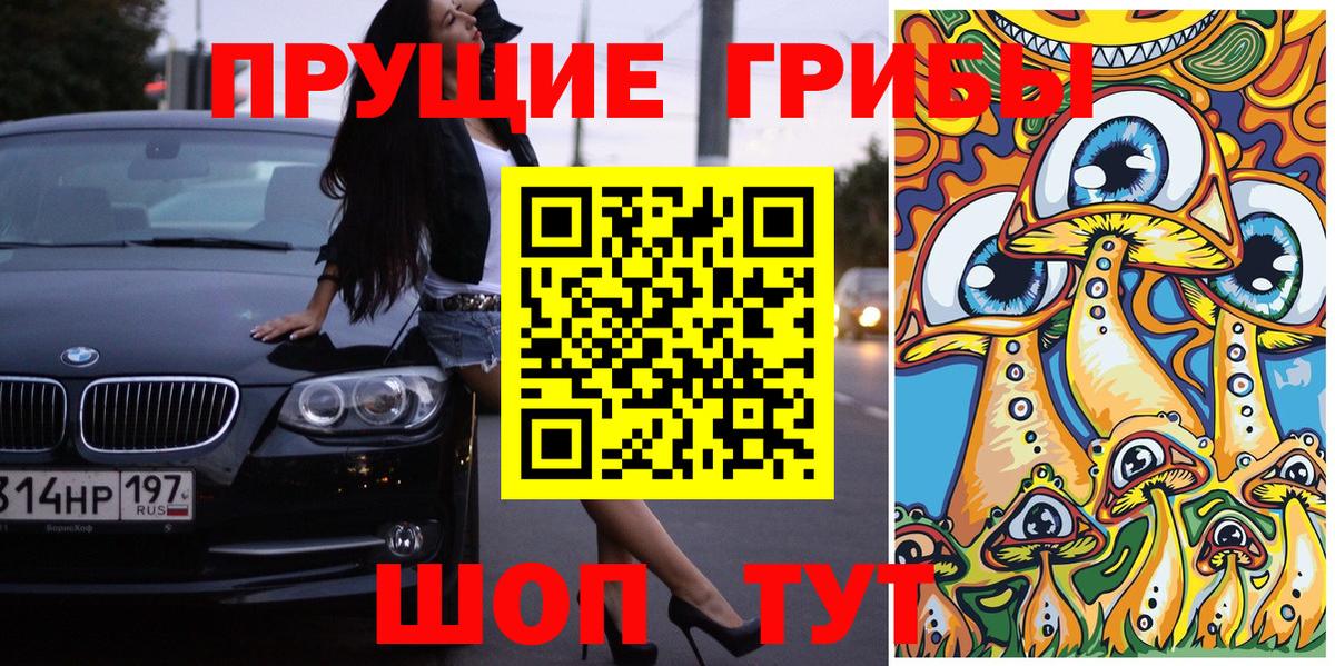 Черногорск  Псилоцибиновые грибы Psilocybe  купить наркотик  Вход с VPN 